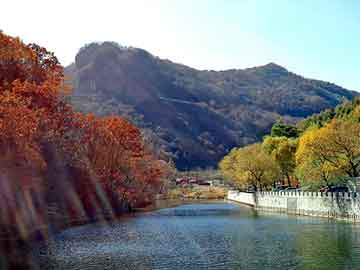 新澳天天彩免费资料大全查询，养牛前景